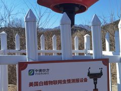-白水寺森林公园