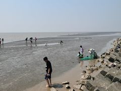 -南汇嘴观海公园