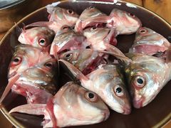 -章记正宗南岗鱼蛋火锅