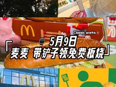 -麦当劳(浦江镇绿地乐和城店)