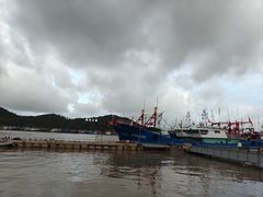 -花岙岛
