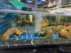 -舟山海鲜·江浙菜(银沙路店)