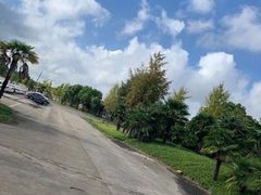 -胜华驾校·小猫学车(银都店)