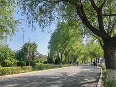 -丁香湖公园