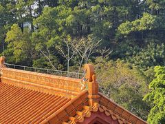-深圳仙湖植物园