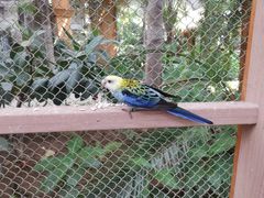 -南宫五洲植物乐园