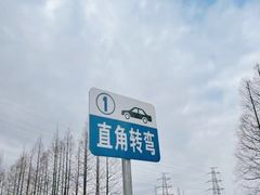 -光明驾校·学车·陪驾(杨浦店)