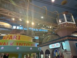 -卡通尼·Safari非洲探索乐园·生日会(金桥国际商业广场店)