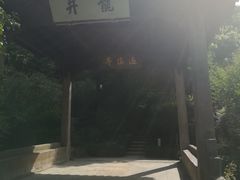 -龙井村
