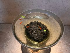 -觀芷隐轩