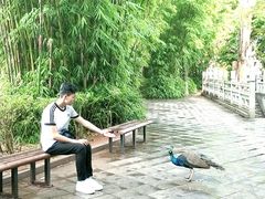-昆明动物园