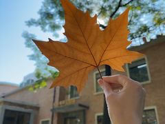 -西安电影制片厂