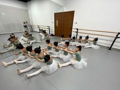 -快乐琴弦音乐舞蹈艺术教育中心(马连道校区)