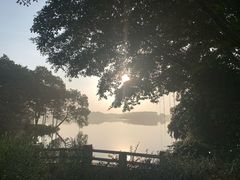 -海珠湖公园