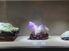 -陕西自然博物馆