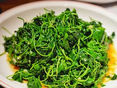 -山芋腔苏北菜(盐城大丰店)