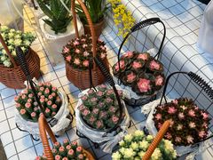 -循礼门鲜花花市(武汉循礼门店)