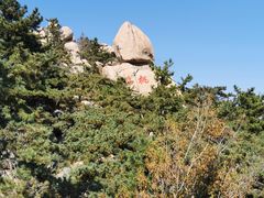 -崂山仰口游览区