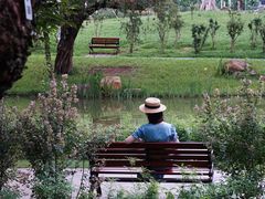 -人民公园(罗湖区)