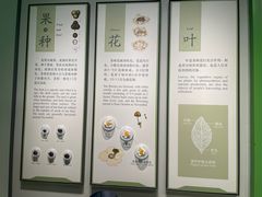 -中国茶叶博物馆(双峰馆区)
