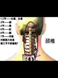 -天姿美容·美体科技SPA·艾姿美店