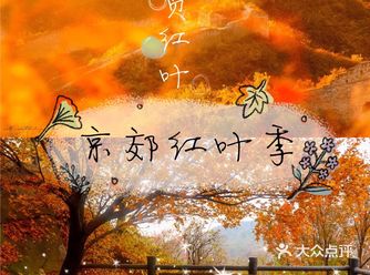 京郊红叶季 5条绝美路线吃住玩攻略!(上)