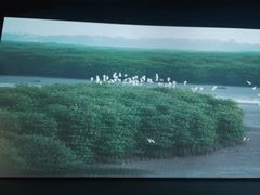 -中国湿地博物馆
