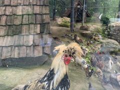 -幽岚山·童话森林