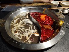 -大龙燚火锅(春熙店)