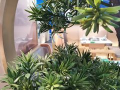 -马家斑.鲜鱼火锅(松湖万科店)