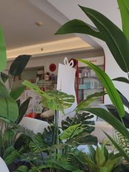 -台湾台婴美月子中心(长沙保利店)