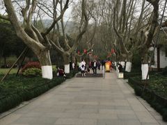 -杭州黄龙洞