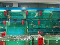 水产区-海大大蒸汽海鲜餐厅·粤菜·特色小炒(欢乐颂店)