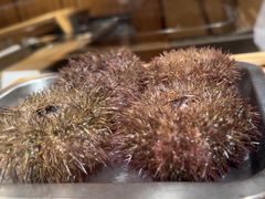 -西村日本料理(香格里拉饭店)