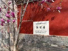 -红螺寺