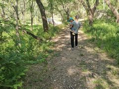 去让子弹飞外景拍摄地的绿茵小路上-白河湾生态旅游一条川