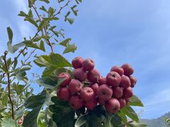 -天津盘山风景名胜区
