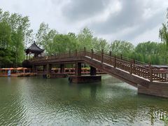 -溱湖国家湿地公园