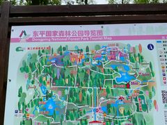 -东平国家森林公园
