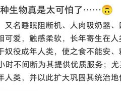 -海尔洲际酒店天下一品中餐厅