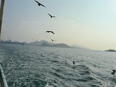 -海驴岛(荣成市)
