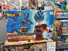-Bic Camera (难波店)