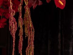 -怪咖·joker陈楠