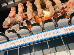 呼伦贝尔羊肉串-很久以前羊肉串(昌里路三钢里店)