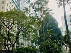 -太平洋丽晶套房酒店
