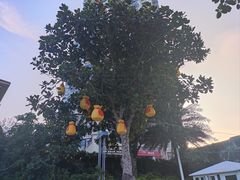 -青澳湾北回归线广场