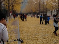 -辽宁大学(崇山校区)