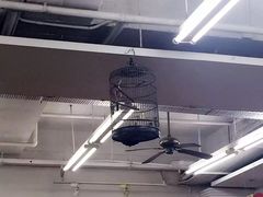 大堂-香港蓮香樓(中環店)