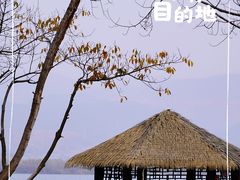 -西昌邛海湿地