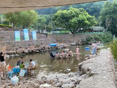 -北仑森林植物园